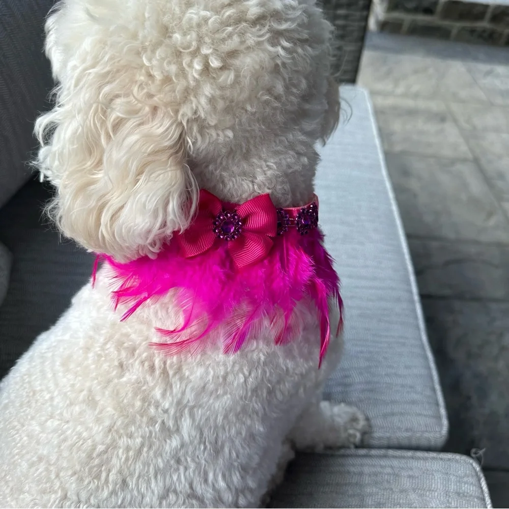 4 Pet Decorative Adjustable Ribbon Strap Collars and Decorative Flower